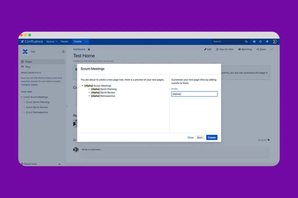 Blueprint Creator – Collect data with placeholders and form fields